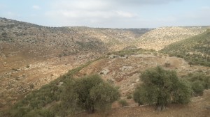 Sicht auf die Berge hinter Beit Arye