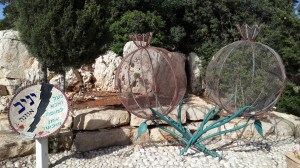 Darstellung von Granatäpfeln von Yaniv Uzana