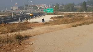 Yamina schleppt die Pflaumeneimer