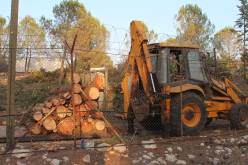 Foto: Yaron Rosental