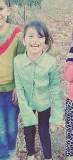 Lama. Quelle: Internet