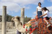 Kamelreiten in Samaria. Quelle: Shomron Tourism